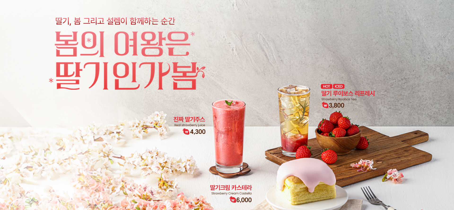 [25봄시즌] 봄의 여왕읜 딸기인가봄